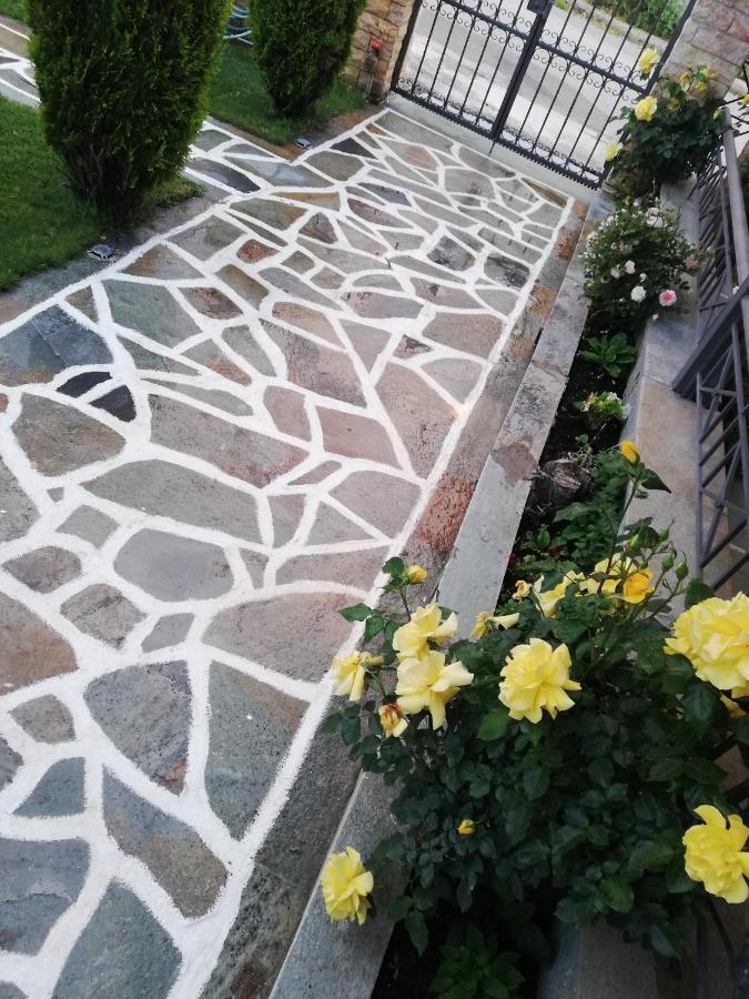 Voula -ioannina-neokesaria Apartment *
